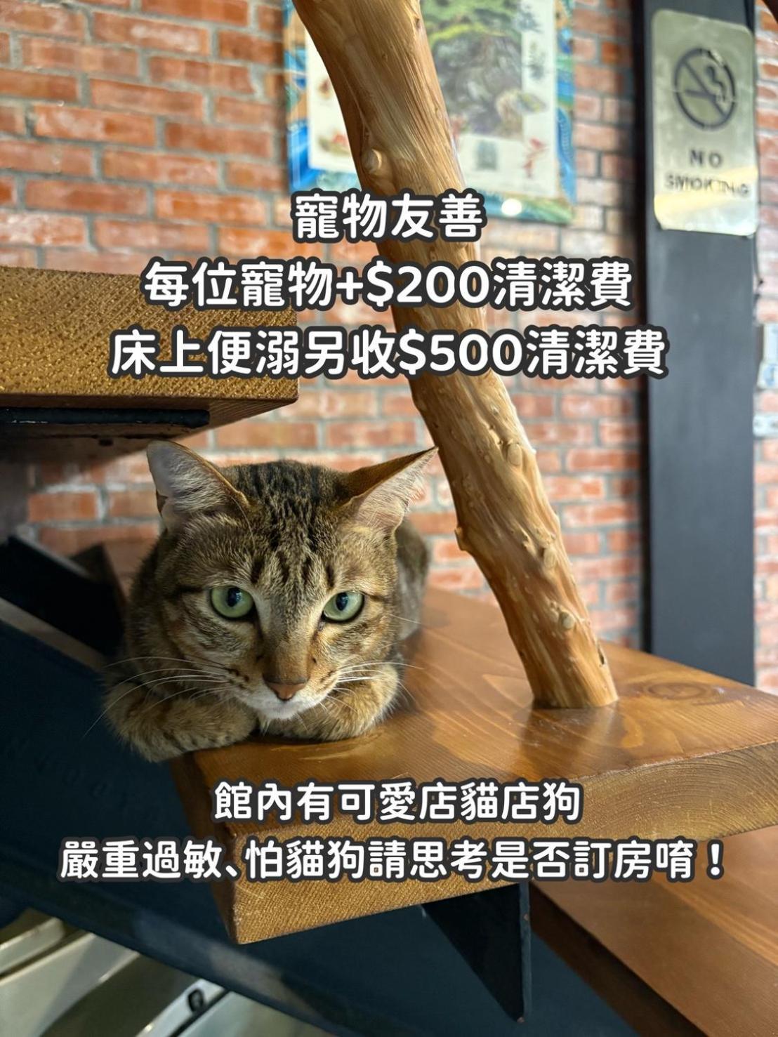 缽割貓點點 青旅 Diandian Hostel Puli Luaran gambar